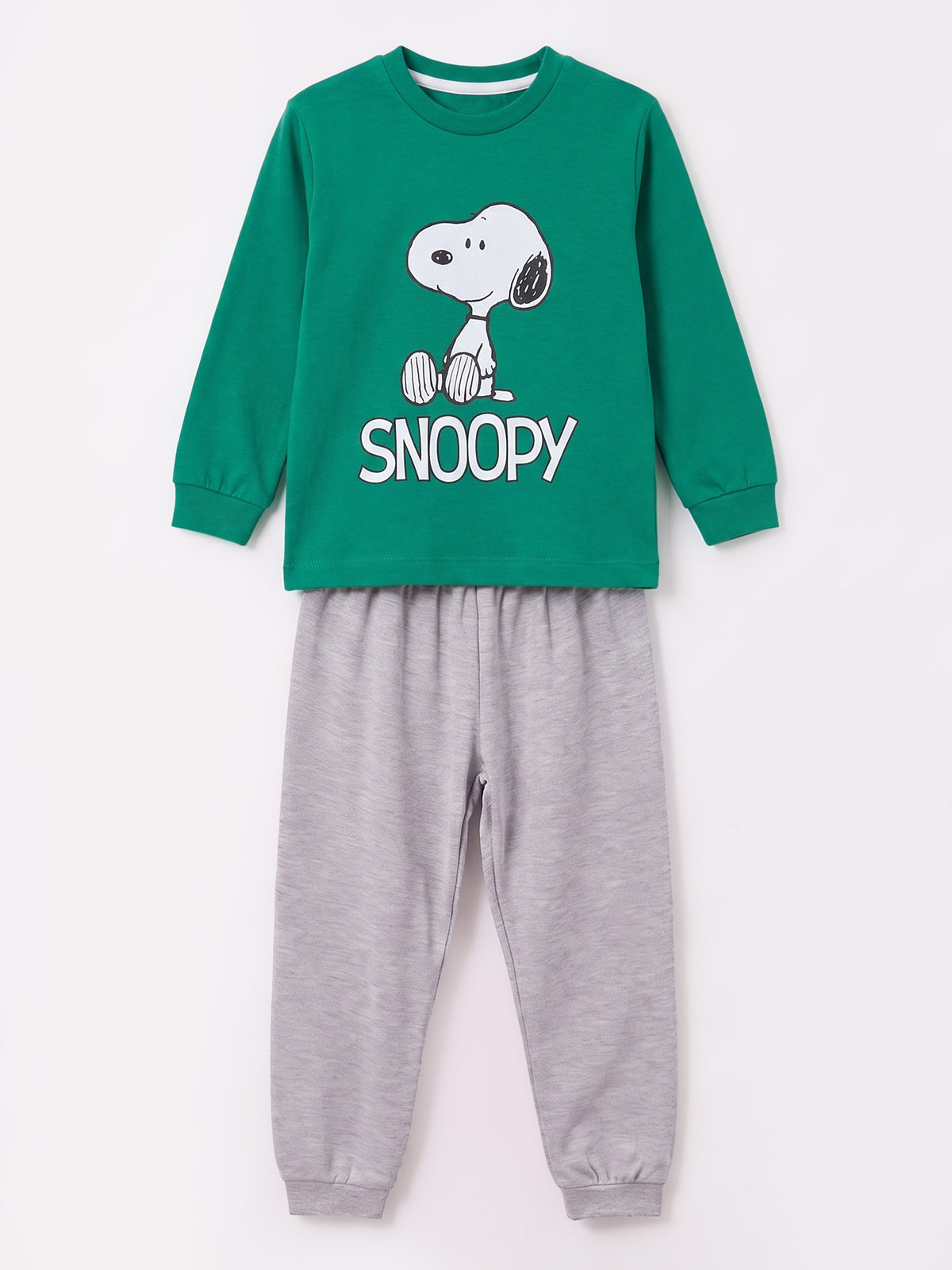 Yeşil (3-8 Yaş) Karakter Baskılı İnterlok Kumaş Erkek Çocuk Pijama Takım 491042